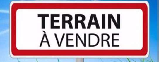 Terrain à vendre à louga image 1