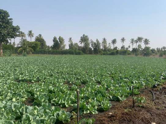 Terrains à usage agricole à Mboro image 7