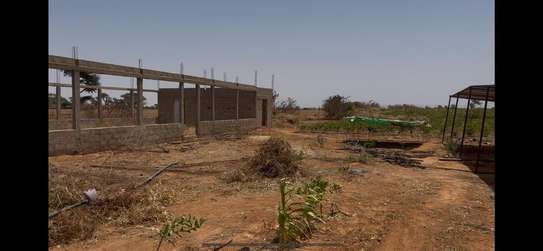 Terrain agricole Notto Diobass village Ngolar image 9