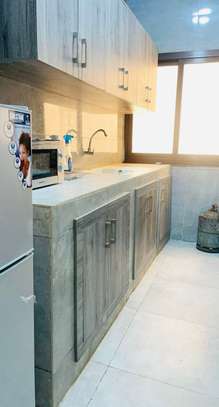 Studio F2 meublés amitié 3 Karack image 4