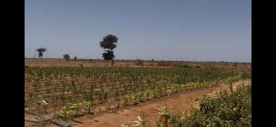 Terrain agricole Notto Diobass village Ngolar image 2