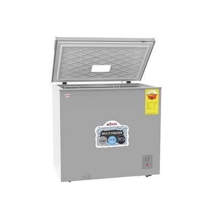 CONGÉLATEUR 280LITRES ASTECH HORIZONTAL SILVER image 2