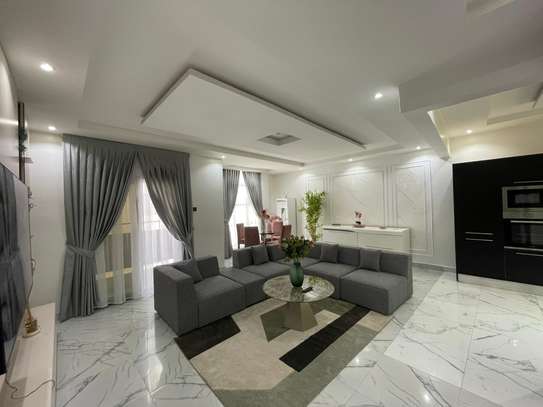 APPARTEMENT MEUBLE F3 A LOUER POINT E image 2