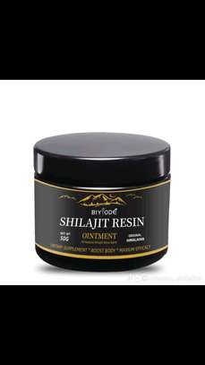SHILAJIT SÉNÉGAL image 1