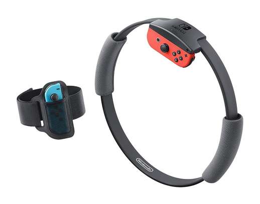 NINTENDO SWITCH FIT RING image 5