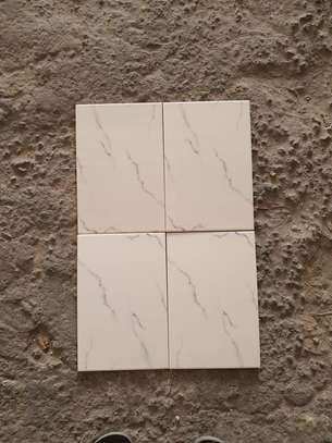 Carreaux Faïence 20X30 image 5