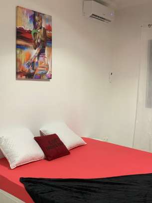 APPARTEMENT MEUBLÉ À LOUER MERMOZ image 13