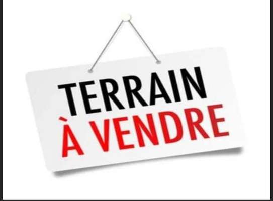 Terrain à vendre à MBOUR image 1