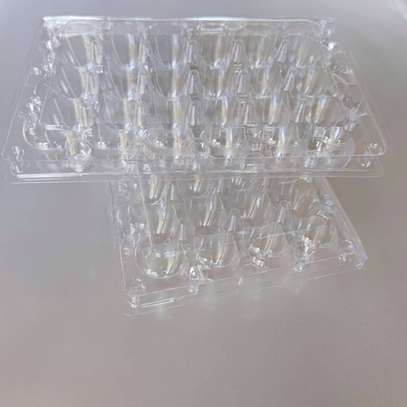 Alvéole plastique de 24 œufs image 3