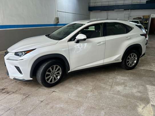 LEXUS NX 350 Année 2020 image 4