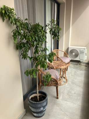 Appartement F3 au Point E meublé et équipé image 13