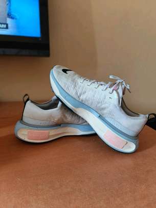 Nike Zoom X image 2