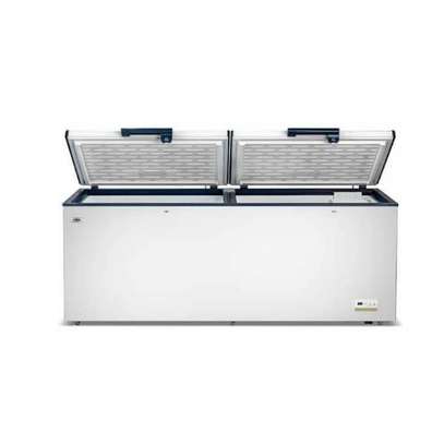 CONGELATEUR 950LITRES FINIX HORIZONTAL BLANC BDW950 image 2