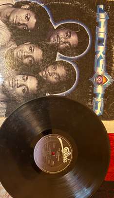 Collection exclusive de disques vinyles image 1