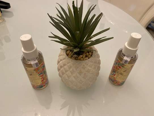 CAMILLE FLORES visage/cheveux Coco- Eau Fraiche Hydratante image 1