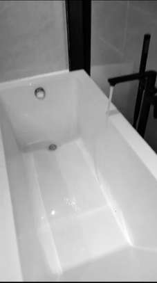 Baignoire + Robinetterie image 2