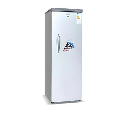 CONGÉLATEUR ASTECH 330L VERTICAL 10TIROIRS image 2