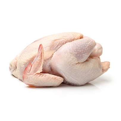 Poulets de chair image 2