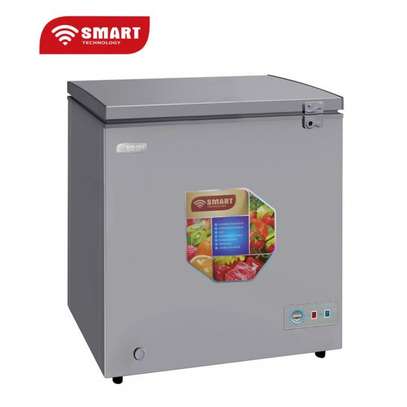Congélateur 250litres Smart Technology Silver horizontal image 2