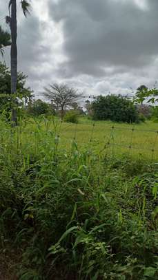 Terrain à Vendre sur l’île de Marlodj image 7