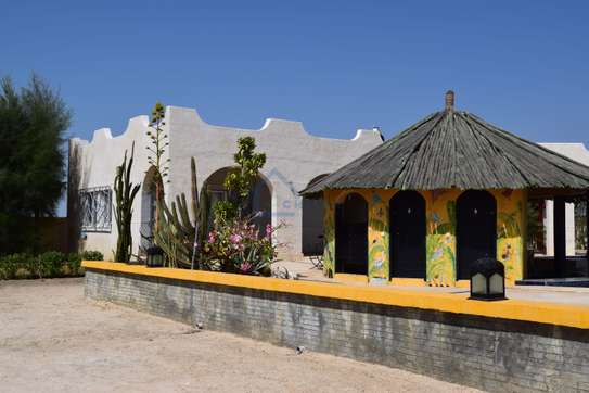 Splendide maison de type riad à vendre sur île de Marl Lodj image 4