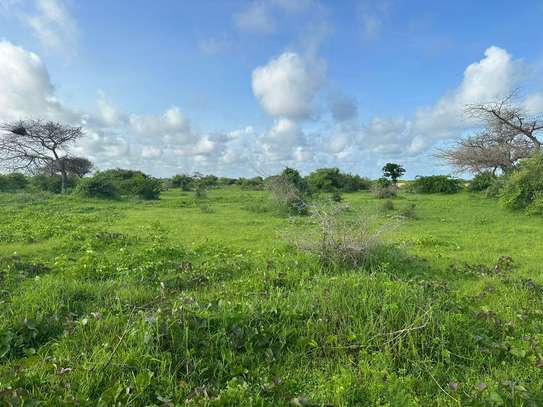 Verger à vendre Palmarin à Facao image 4