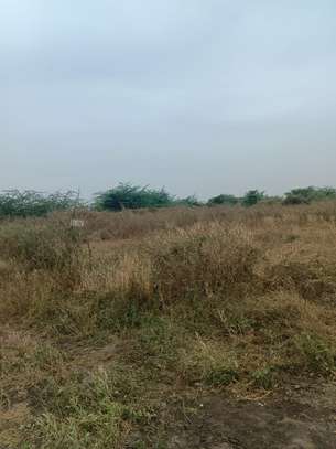 21 hectares à vendre à sindia entre Nguekhokh et Ngerigne image 4