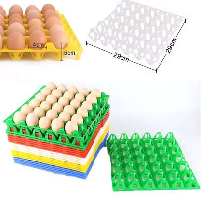 Alveoles poule de 30 œufs plastique image 2