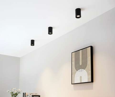 Spot image 2