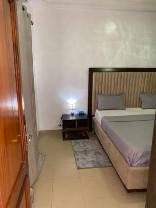 Appartement Mermoz Pyrotechnique image 10