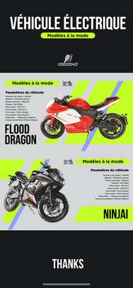 Moto électrique image 6