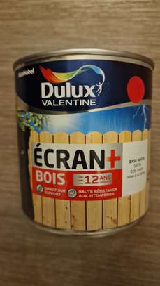 Des differents types de peinture image 2