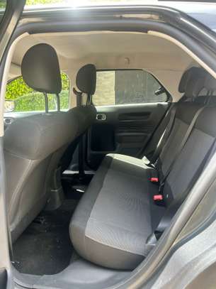 C4 cactus image 5