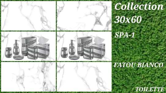 Carreaux Faïence 30X60 image 6