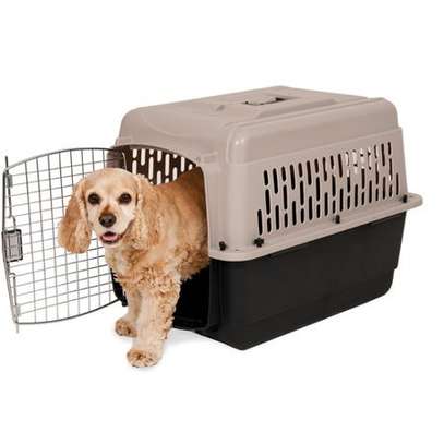Cage pour chien ou chat image 1