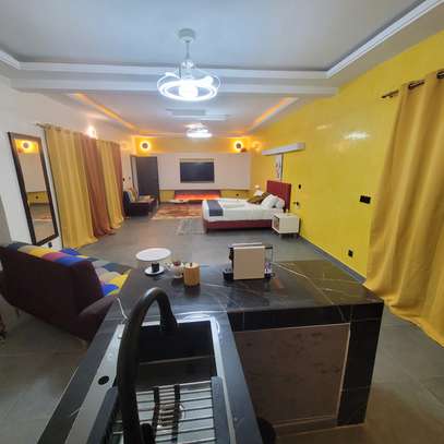 Chambres d'hôtes ou villa image 12