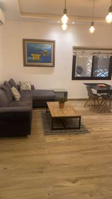 Sublime studio meublé moderne image 6