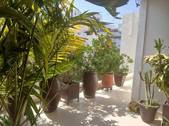 villa louer mermoz image 1