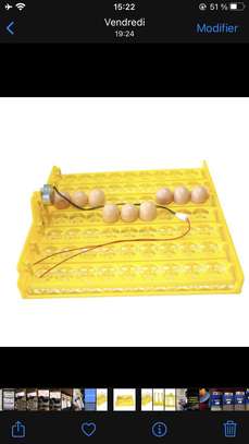 Couveuse automatique capacité 56 œufs à vendre image 1