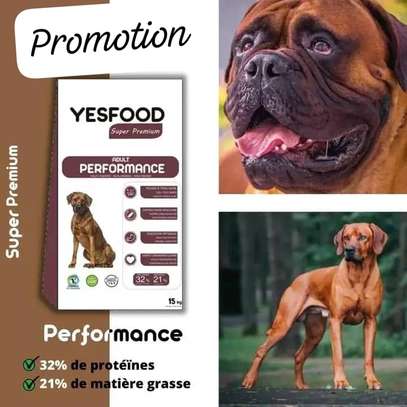 YESFOOD ADULT PERFOMANCE image 1