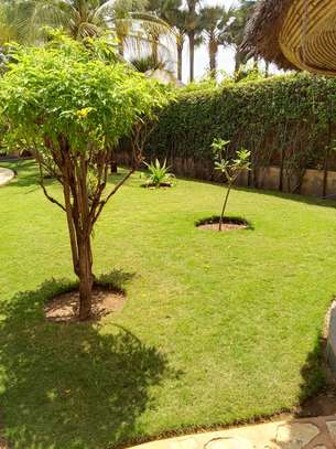 Belle villa F5 à louer à la résidence Kalahari (Saly) image 8