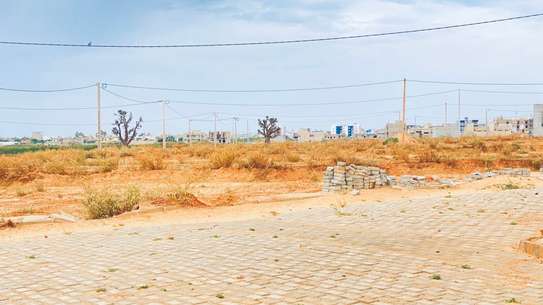 INSIDE LAC ROSE image 1