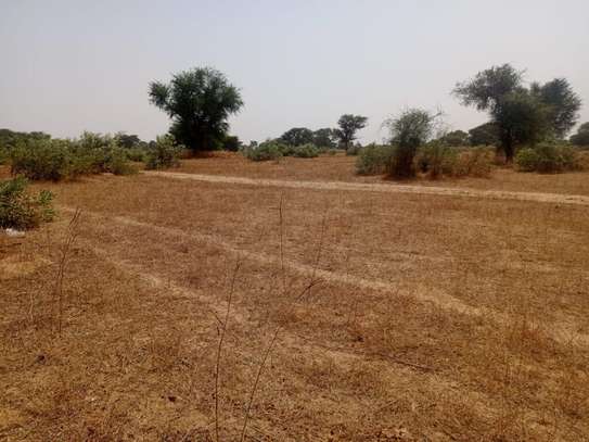 Terrain Agricole de 2,07 Hectares vers Tassette – Thiès image 2