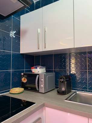 Spacieux et Luxueux studio F2 Meublé image 1