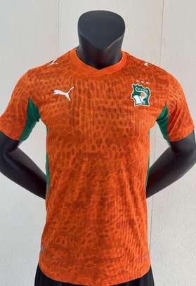 Maillot coupe du monde image 5
