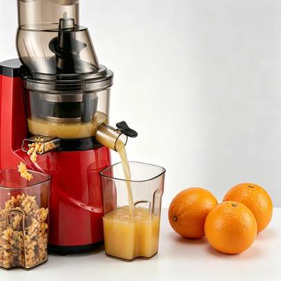 Extracteur de jus lent 1000 W, presse-agrumes à froid image 7