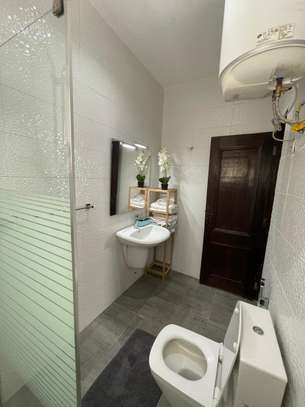 APPARTEMENT MEUBLE F3 A LOUER POINT E image 15