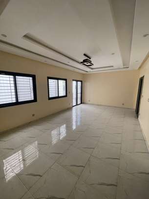 Apparts duplex Mermoz Sacré-Coeur image 1