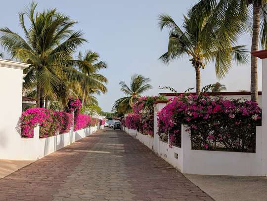 Villa à Saly (entre le centre et la plage) image 1