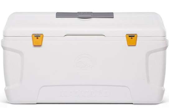 Igloo maxcold 156 hot sale litre